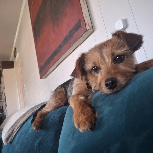 Meet Your Posher - Picture 3 of 7